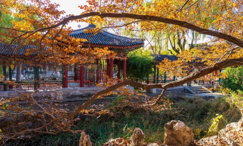 xie-qu-yuan xie-qu-yuan