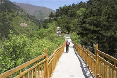 Songshan Forest Park