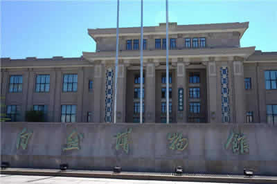 Museum of Natural History