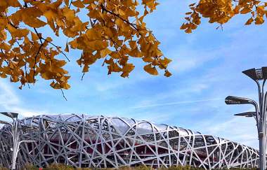 Bird's Nest (Beijing National Stadium)