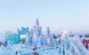 Private Harbin Customized Tour: Full Day Explore the Ice and Snow World 