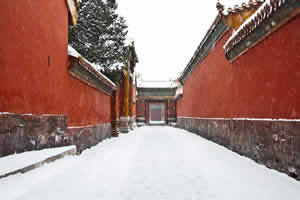 Half Day In-depth Forbidden City Discovery Tour with Jinshan Park