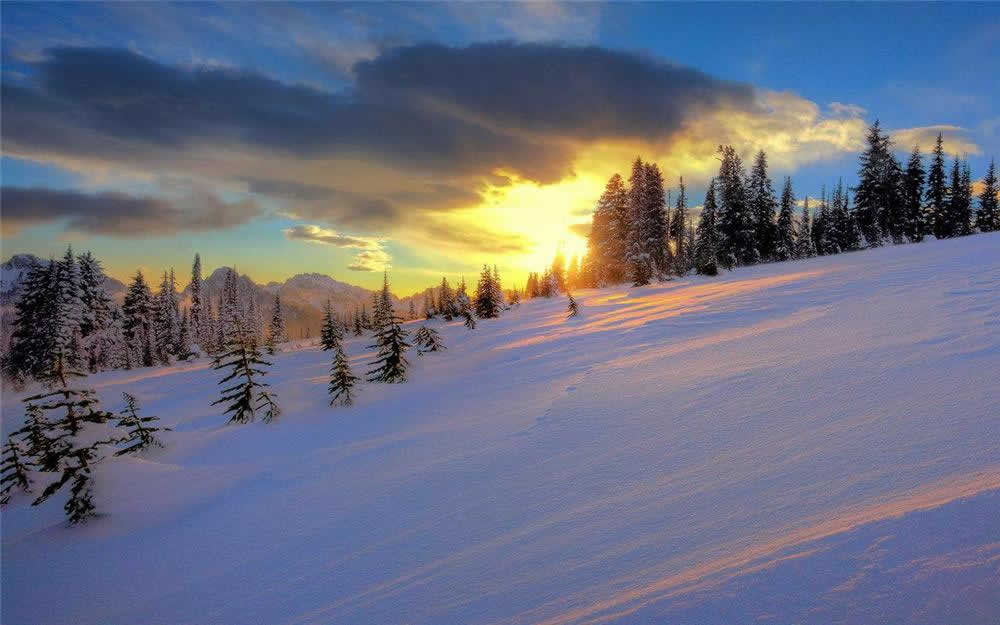 Harbin In-depth Travel: 6 Days Harbin Fairy-tale Winter Tour with Yabuli Ski Resort & China Snow Town