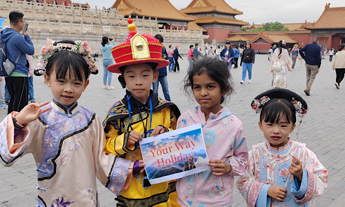 Beijing Hutong & Street Food Day Tour: Wudaoying Hutong to Huguosi Snacks Street