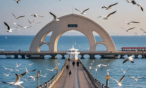 Qingdao Day Tours: Explore Qingdao Brewery, Historic Landmarks, and Scenic Coastal Views