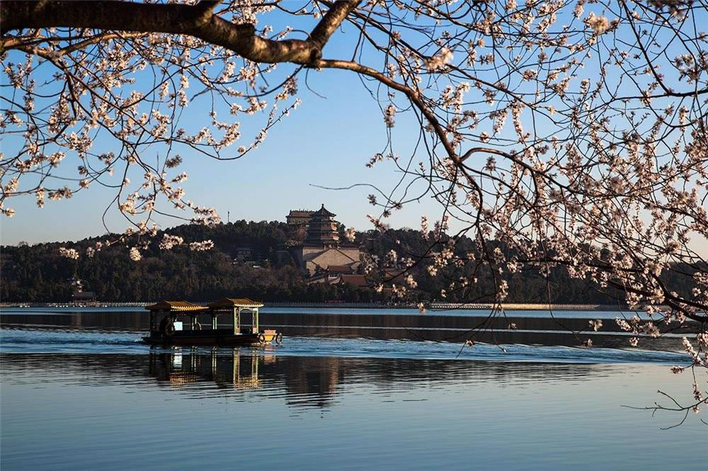Beijing Flower Viewing Day Tour | Beijing Spring Tour | Day Tour in Beijing