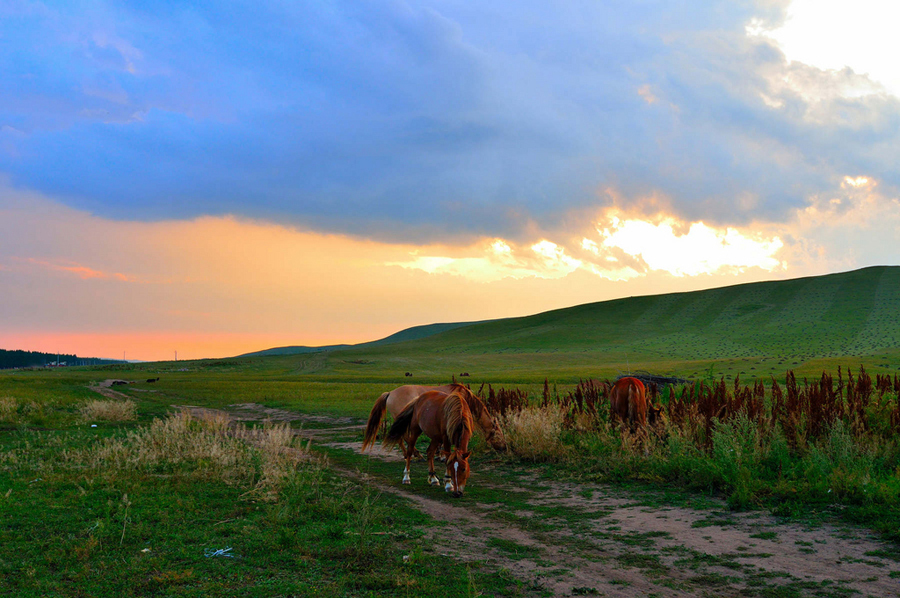 Mulan Hunting Paddock_01.jpg