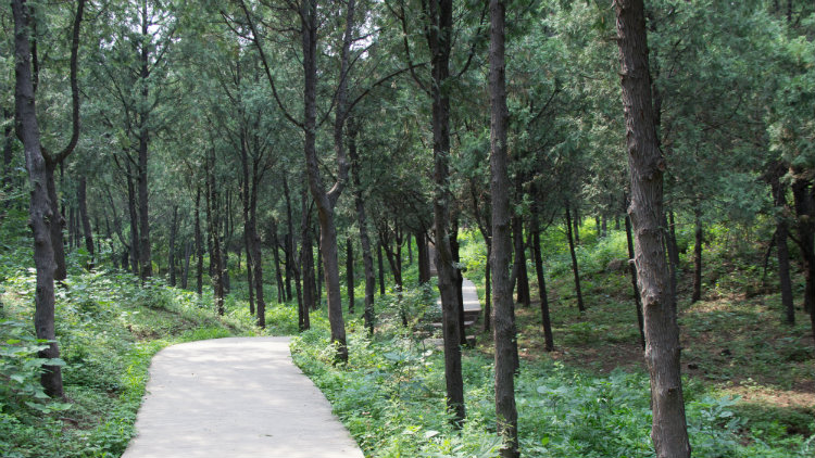 Xishan Park Xishan Park