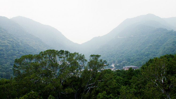Fragrant Hills Fragrant Hills