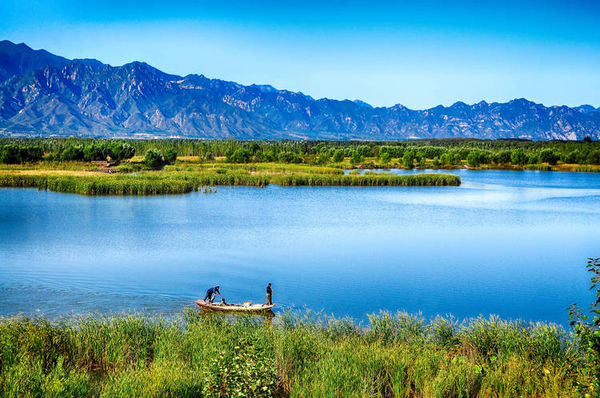 Wild Duck Lake Wetland Park_06.jpg