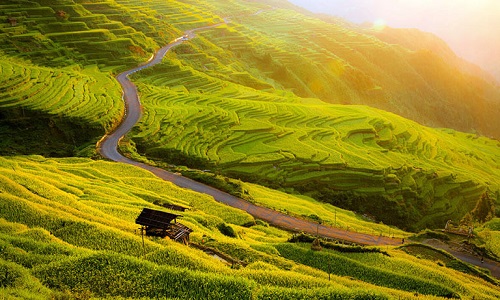 Jiabang-Rice-Terraces-Guizhou