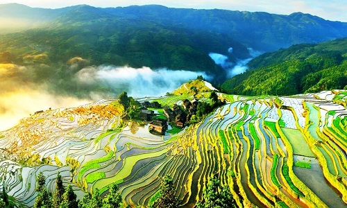 Jiabang-Rice-Terraces