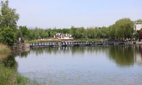 Daoxianghu-Natural-Wetland-Park-Beijing