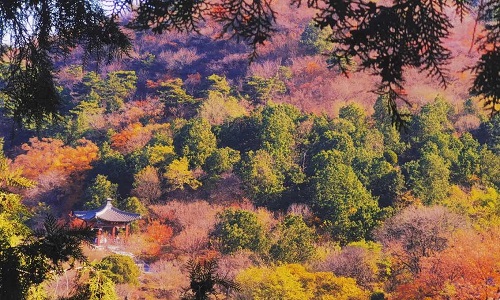Fragrant-Hills-Park