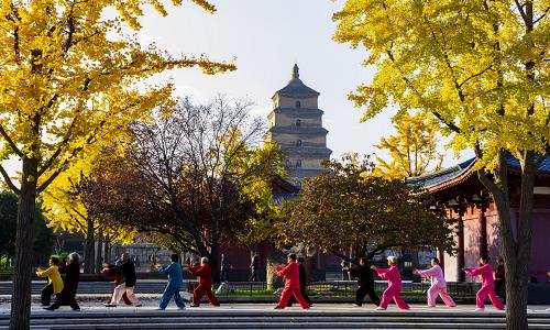 Big-Wild-Goose-Pagoda-Xian