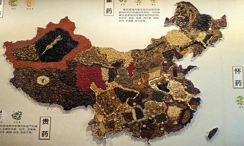 Chinese-Medicine-Museum