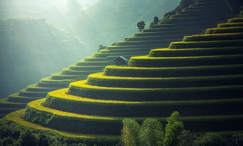 Gaoyao-Rice-Terraces-Guizhou