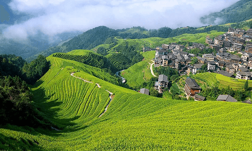 Gaoyao-Rice-Terraces