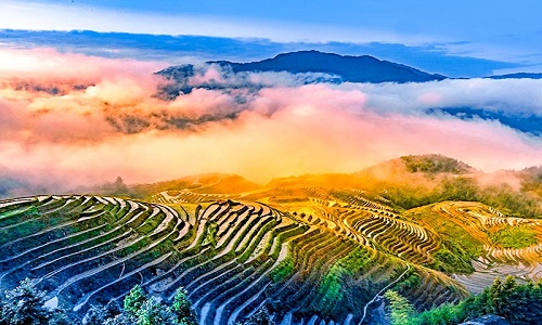  Longji-Rice-Terraces-Guilin