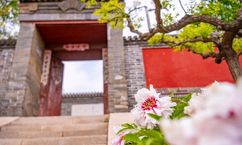 Yanqing-Peony-Garden-Yanqing