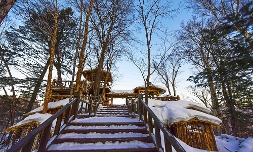 Harbin-Wooden-Plank-Road