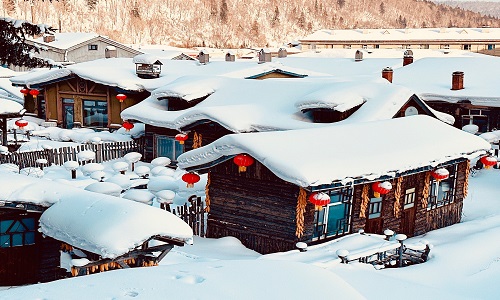 Snow-Mushroom-Harbin