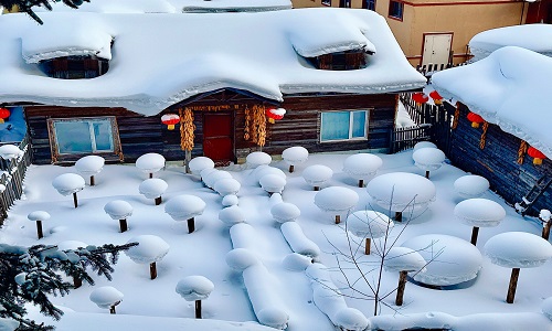 Snow-Mushroom