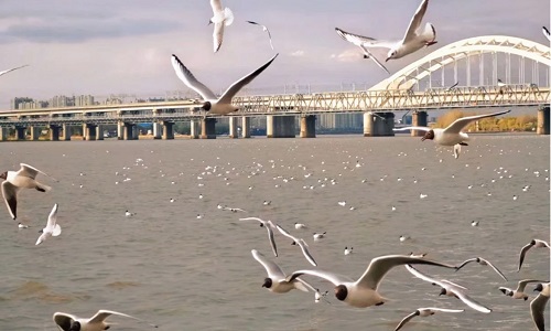 Stalin-Park-Harbin