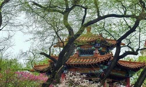 Zhaolin-Park-Harbin