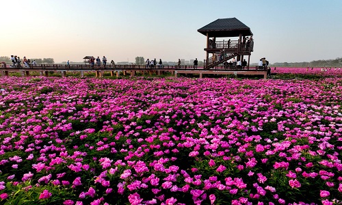 Yanqing-District