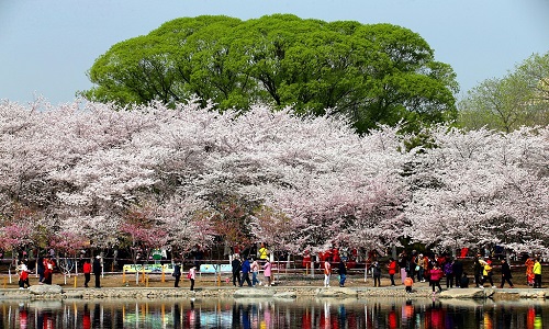 Yuyuantan-Park