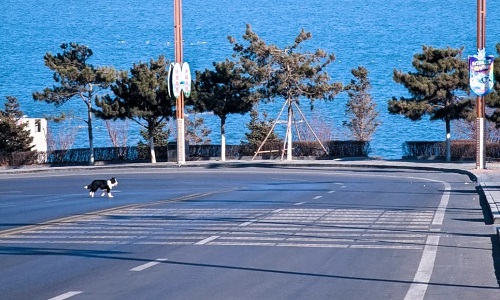 Binhai-Road