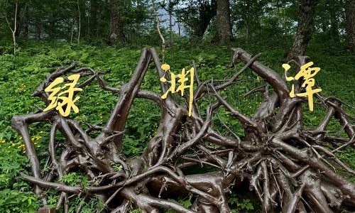 Green-Abyss