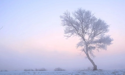 Rime-Island