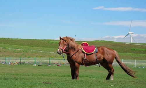 Huitengxile-Grassland-Mongolia