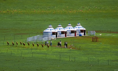 Huitengxile-Grassland