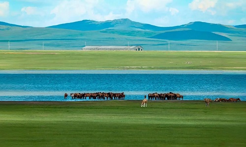 Hulun-Buir-Prairie