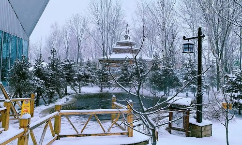 Hot-Spring