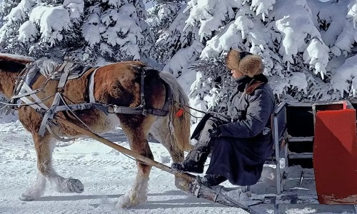 Reindeer-Park