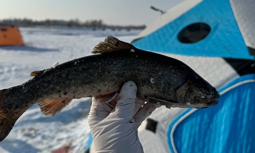 Ice-Fishing