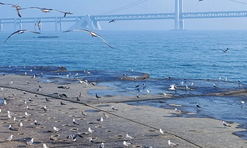 Xinghai
