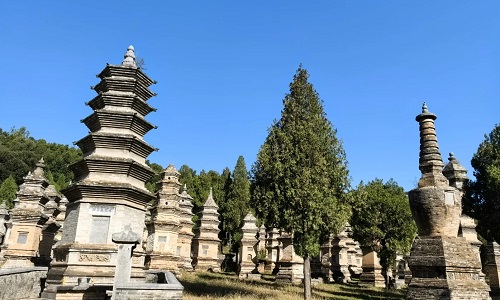 Pagoda-Forest-Shaolin