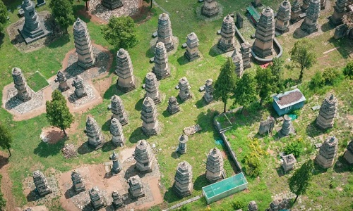 Pagoda-Forest