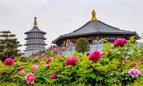 National-Peony-Garden