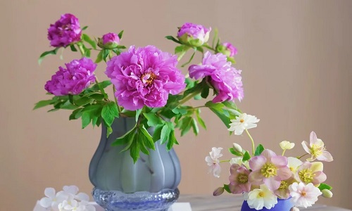 Peony-Flower-Arrangement