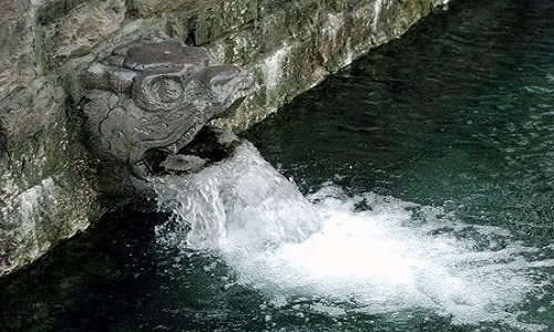 Black-Tiger-Spring-Jinan