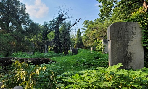 Confucius-Cemetery
