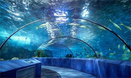 Qingdao-Polar-Ocean-World