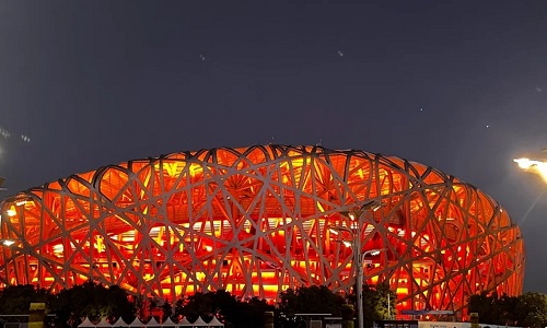 Birds-Nest-Nighttime