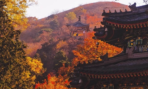 Fragrant-Hills-Park-Beijing